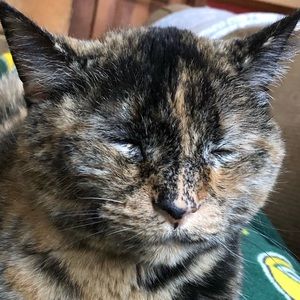 Meet your Posher, Jacob